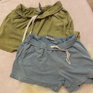 Jungmaven Gym Shorts - Blue and Green